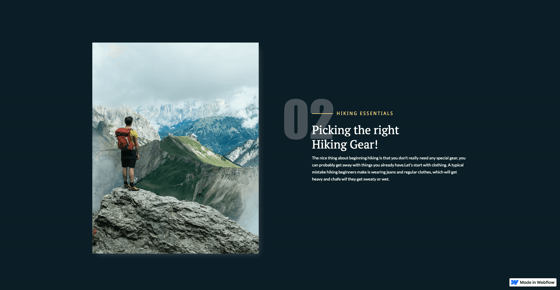 Webflow Website with Scroll Animations & CMS Integration screenshot 3