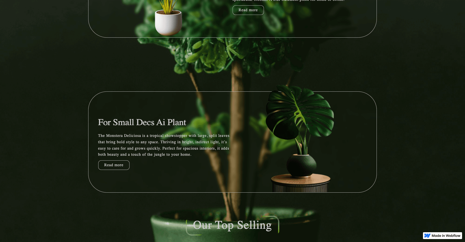 Website from Figma to Webflow with CMS, animations, slider screenshot 2