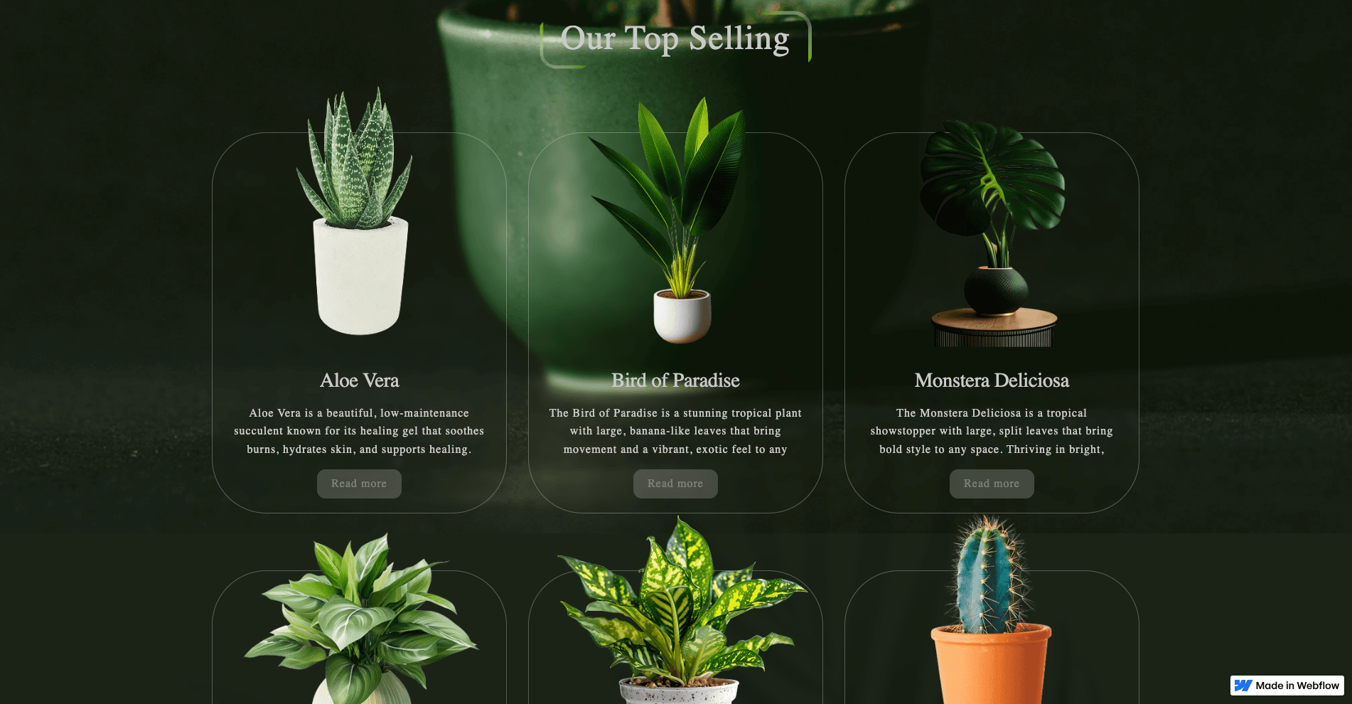 Website from Figma to Webflow with CMS, animations, slider screenshot 3