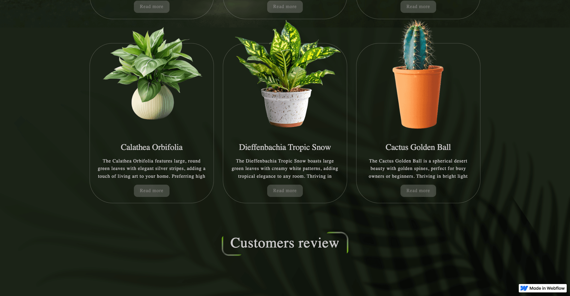 Website from Figma to Webflow with CMS, animations, slider screenshot 4